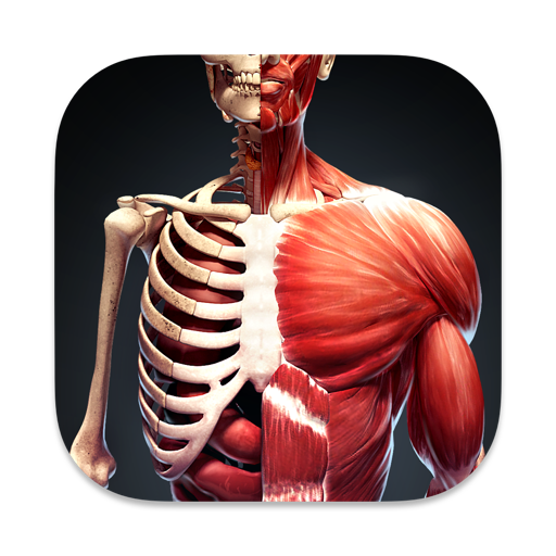 发现人体 ： 互动三维立体解剖图谱