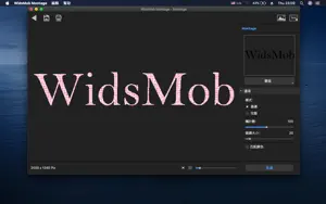 WidsMob Montage-照片拼贴