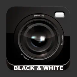 B&W Camera - 黑与白的美